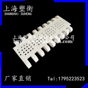 特氟龍網(wǎng)帶_食品級塑料網(wǎng)帶耐高溫模組網(wǎng)帶耐酸堿模塊網(wǎng)格化