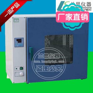 電熱鼓風干燥箱_湖南烘箱干燥箱廠家供應(yīng)恒溫鼓風干燥箱工業(yè)烘箱批發(fā)