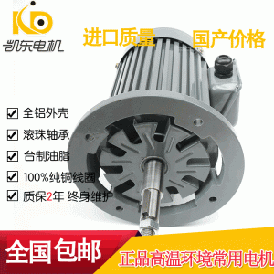 耐高溫電機(jī)_電機(jī)廠家直銷耐高溫電機(jī)隧道式烘干爐設(shè)備電機(jī)250度高溫