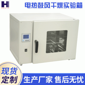 電熱鼓風干燥箱_恒溫鼓風干燥箱不銹鋼工業(yè)烤箱烘干箱老化試驗箱實驗工業(yè)