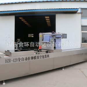 真空包裝機_山東環(huán)口罩拉伸膜包裝機全自動真空封口廠家直銷