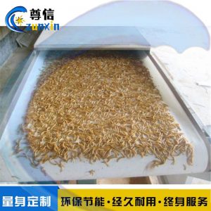 湖北黑水虻干燥設備流水線式/100公斤活蟲微波干燥膨脹隧道爐